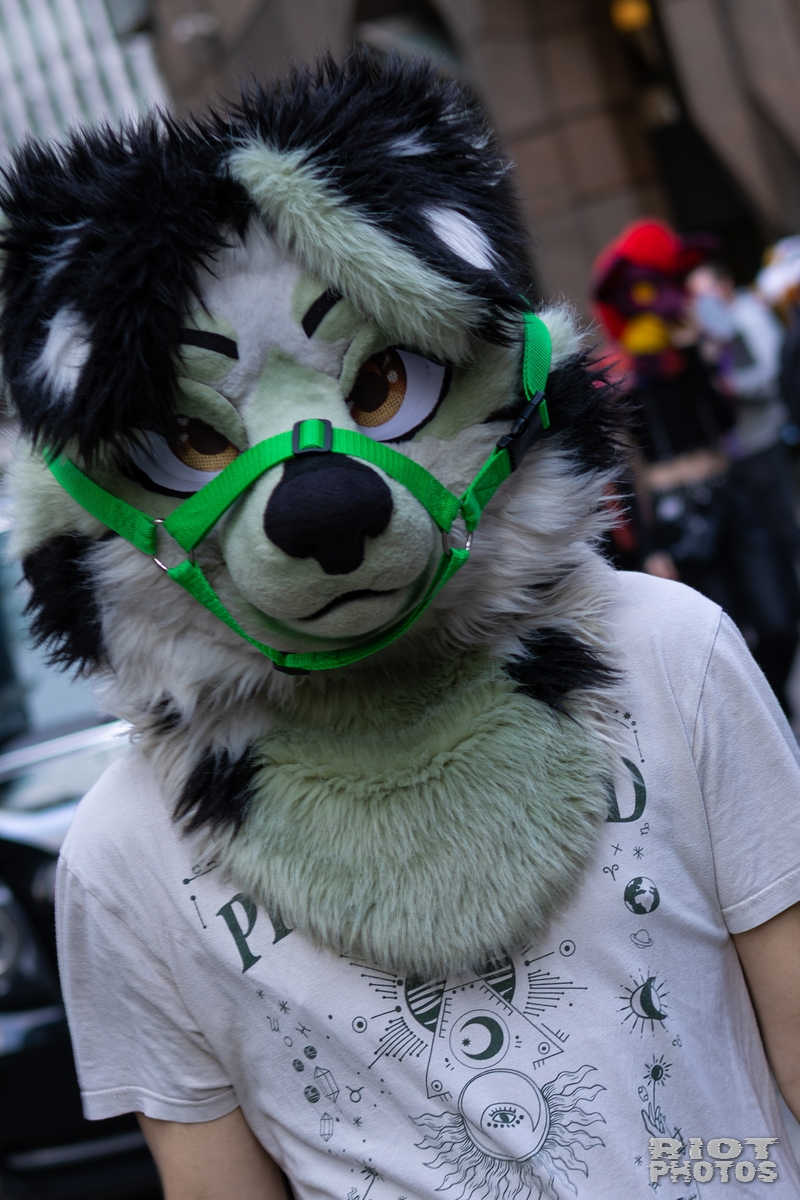2026-01-31 LondonFurs-053.jpg