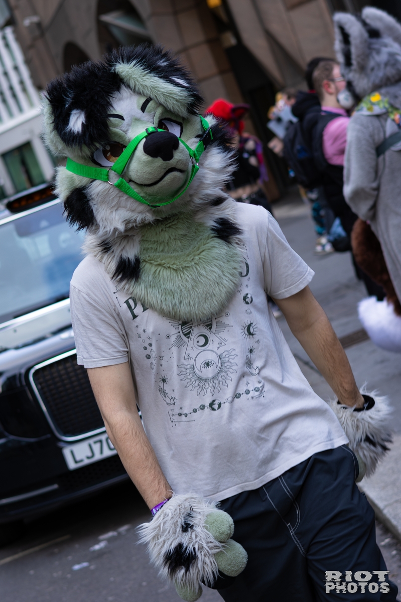 2026-01-31 LondonFurs-054.jpg