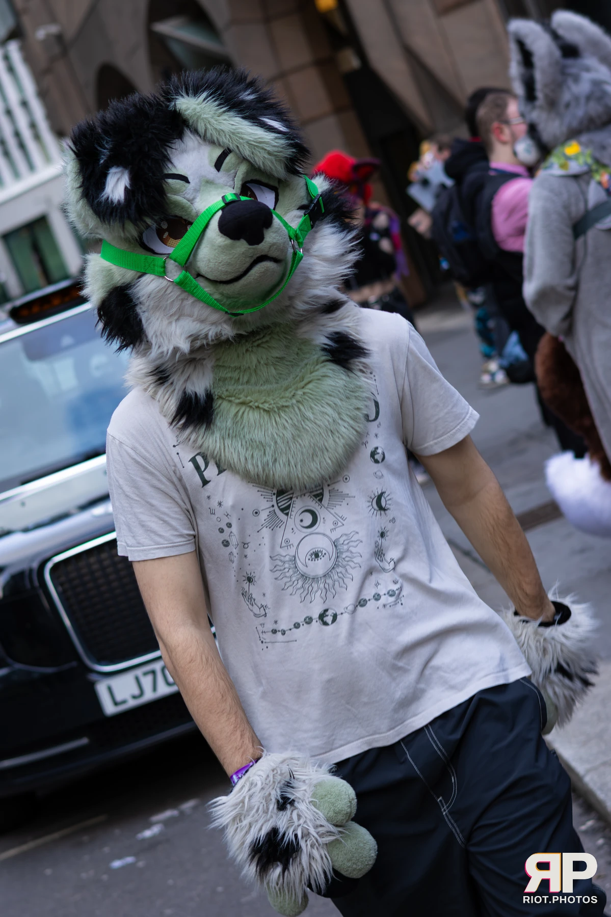 LondonFurs - January, 2026 — 31 Jan 2026, Fluffy Riot photography — photo 54