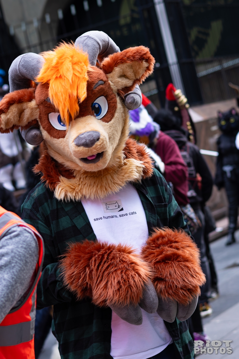 2026-01-31 LondonFurs-056.jpg