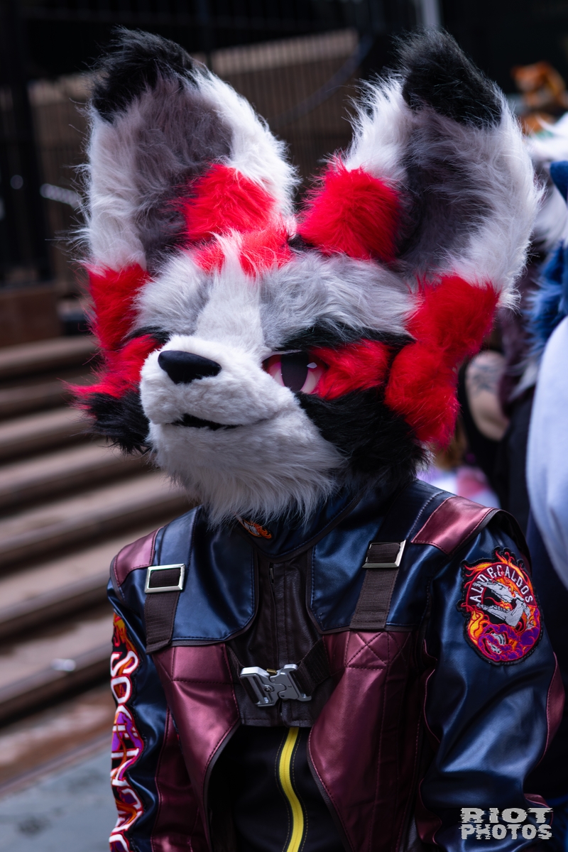 2026-01-31 LondonFurs-057.jpg