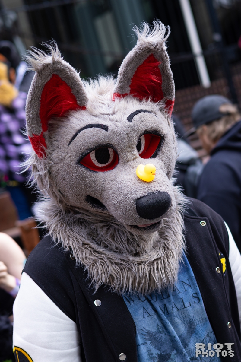 2026-01-31 LondonFurs-058.jpg