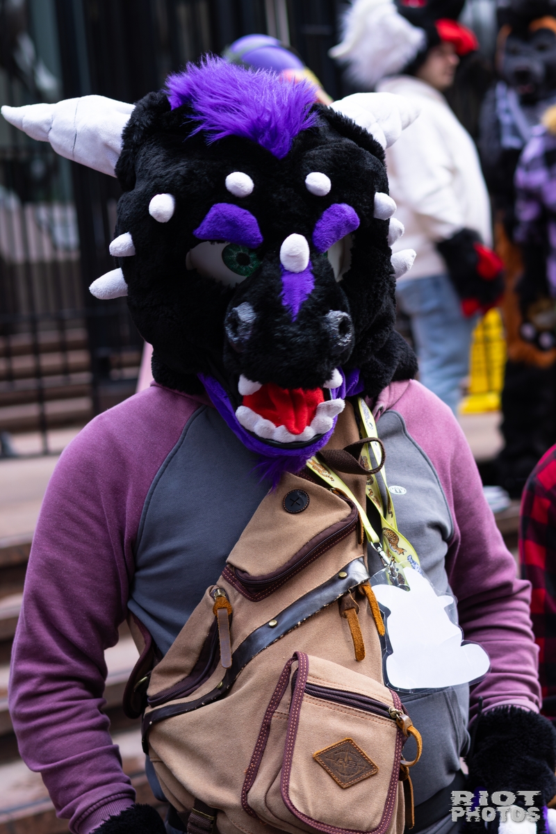 2026-01-31 LondonFurs-060.jpg