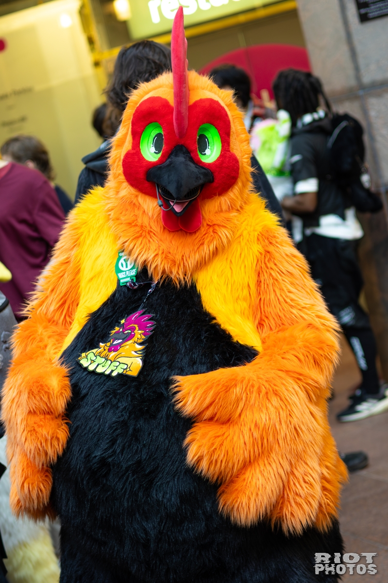 2026-01-31 LondonFurs-066.jpg