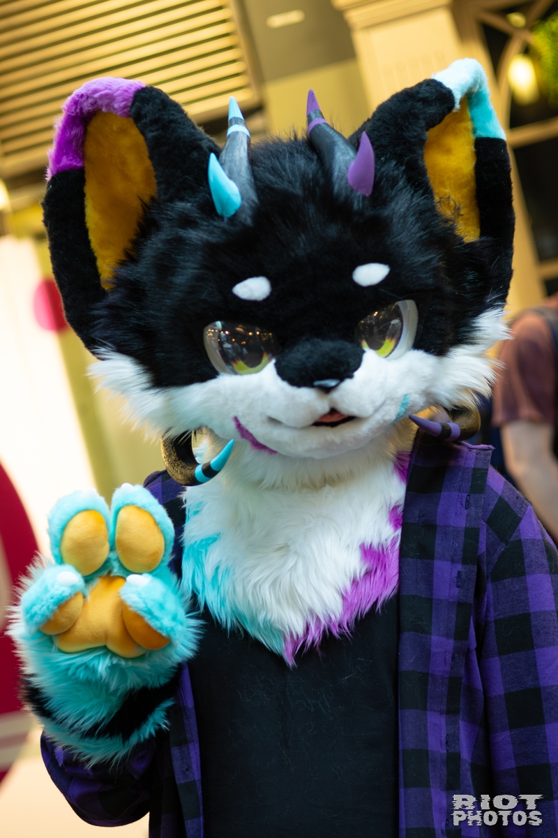 2026-01-31 LondonFurs-067.jpg