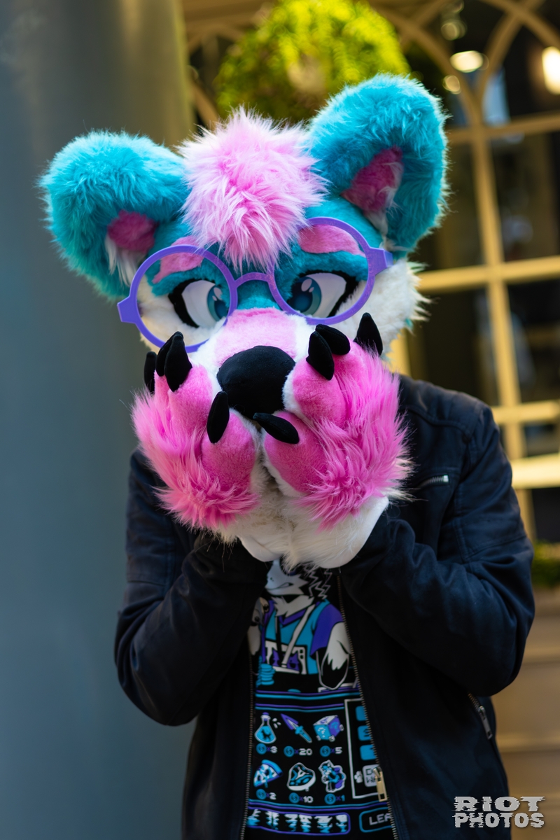 2026-01-31 LondonFurs-068.jpg