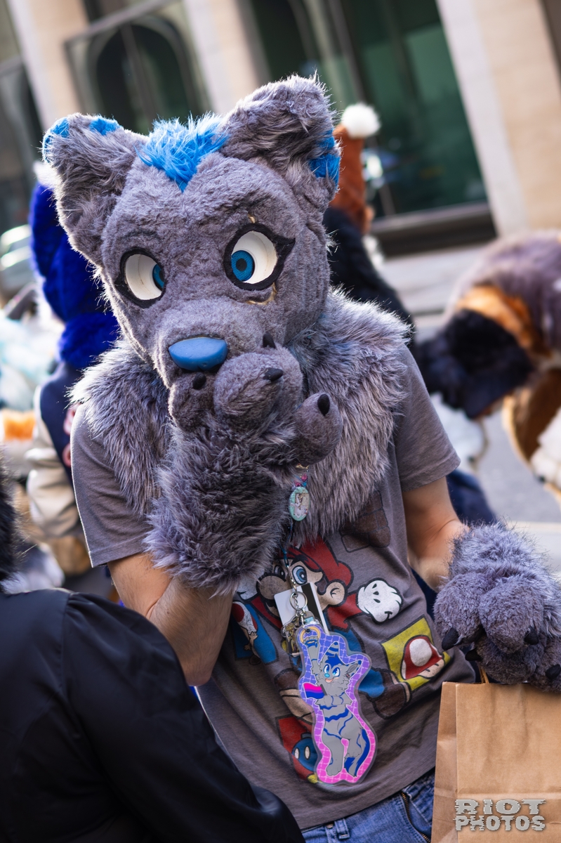 2026-01-31 LondonFurs-071.jpg