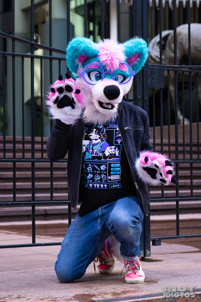 2026-01-31 LondonFurs-072.jpg