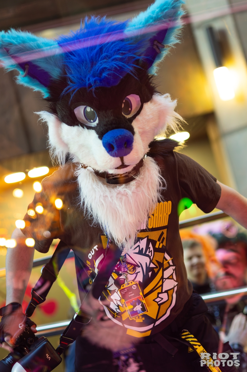2026-01-31 LondonFurs-075.jpg