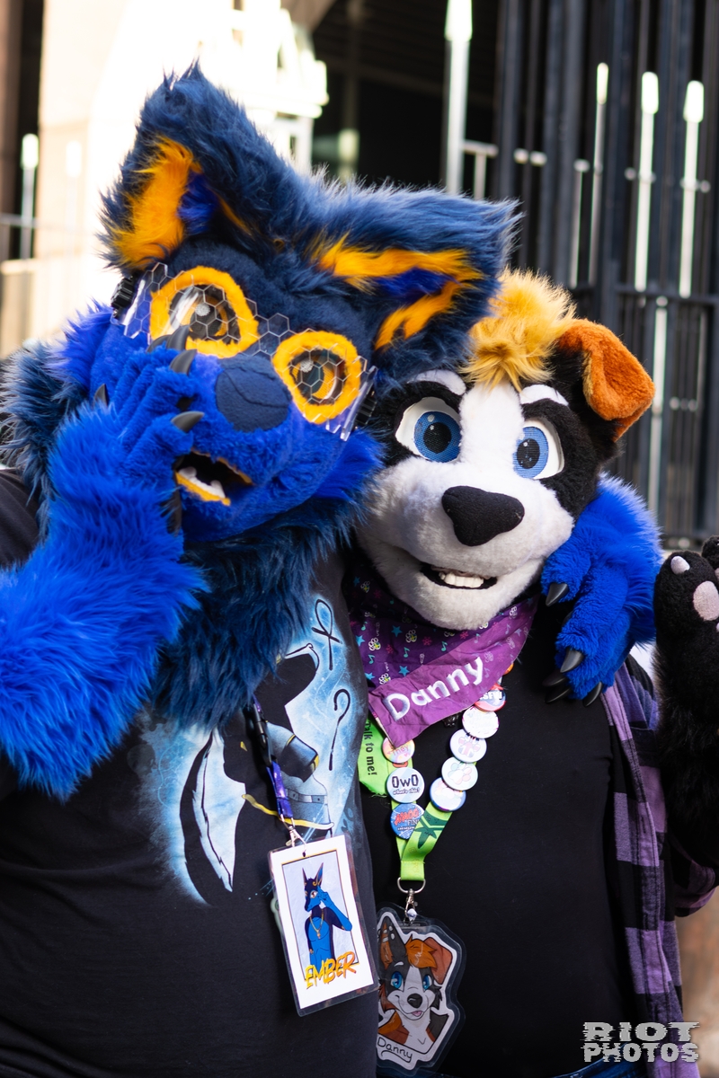2026-01-31 LondonFurs-076.jpg