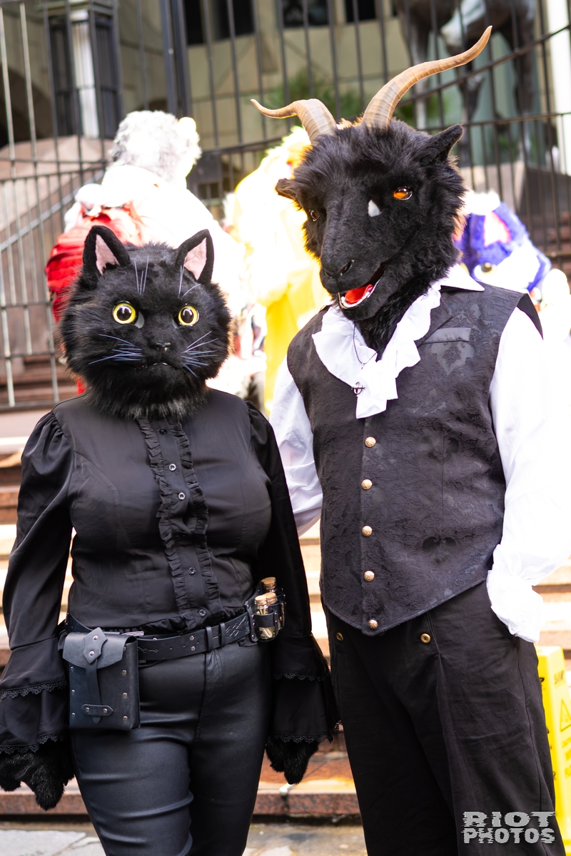2026-01-31 LondonFurs-077.jpg