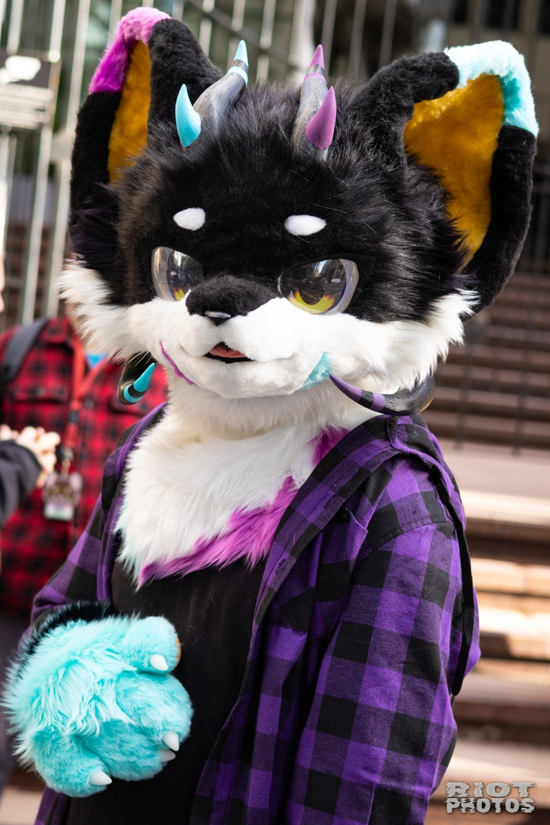 2026-01-31 LondonFurs-080.jpg