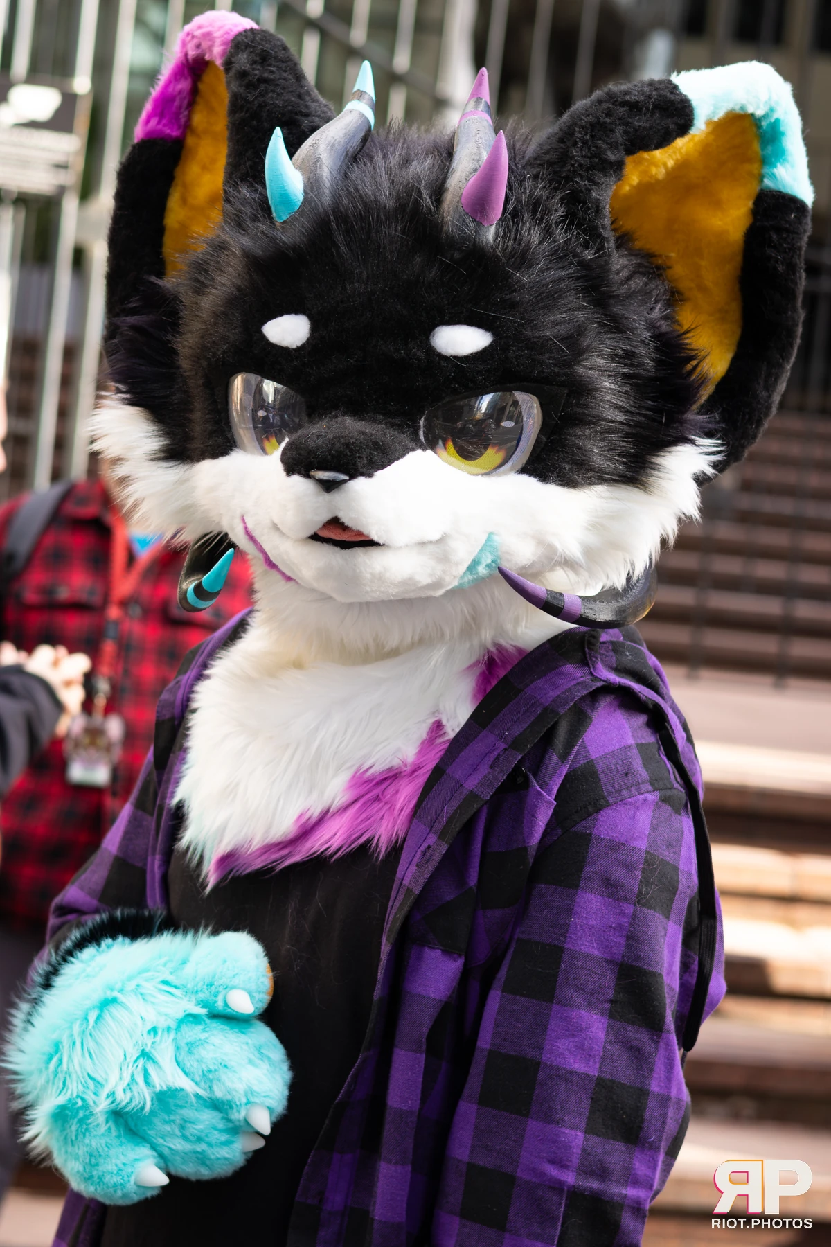 LondonFurs - January, 2026 — 31 Jan 2026, Fluffy Riot photography — photo 80