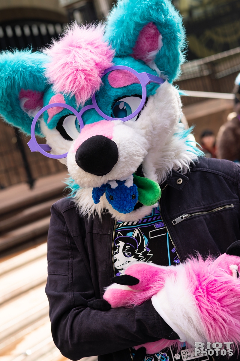 2026-01-31 LondonFurs-081.jpg