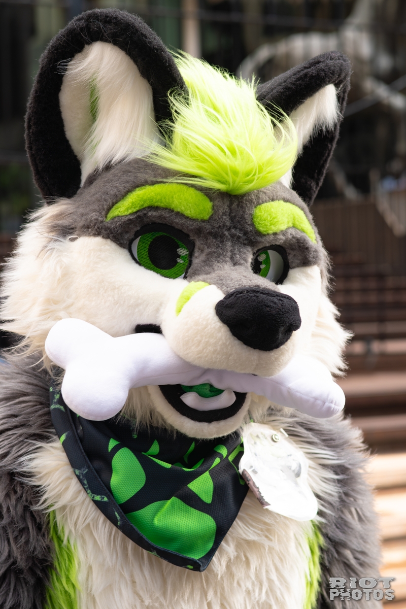 2026-01-31 LondonFurs-082.jpg