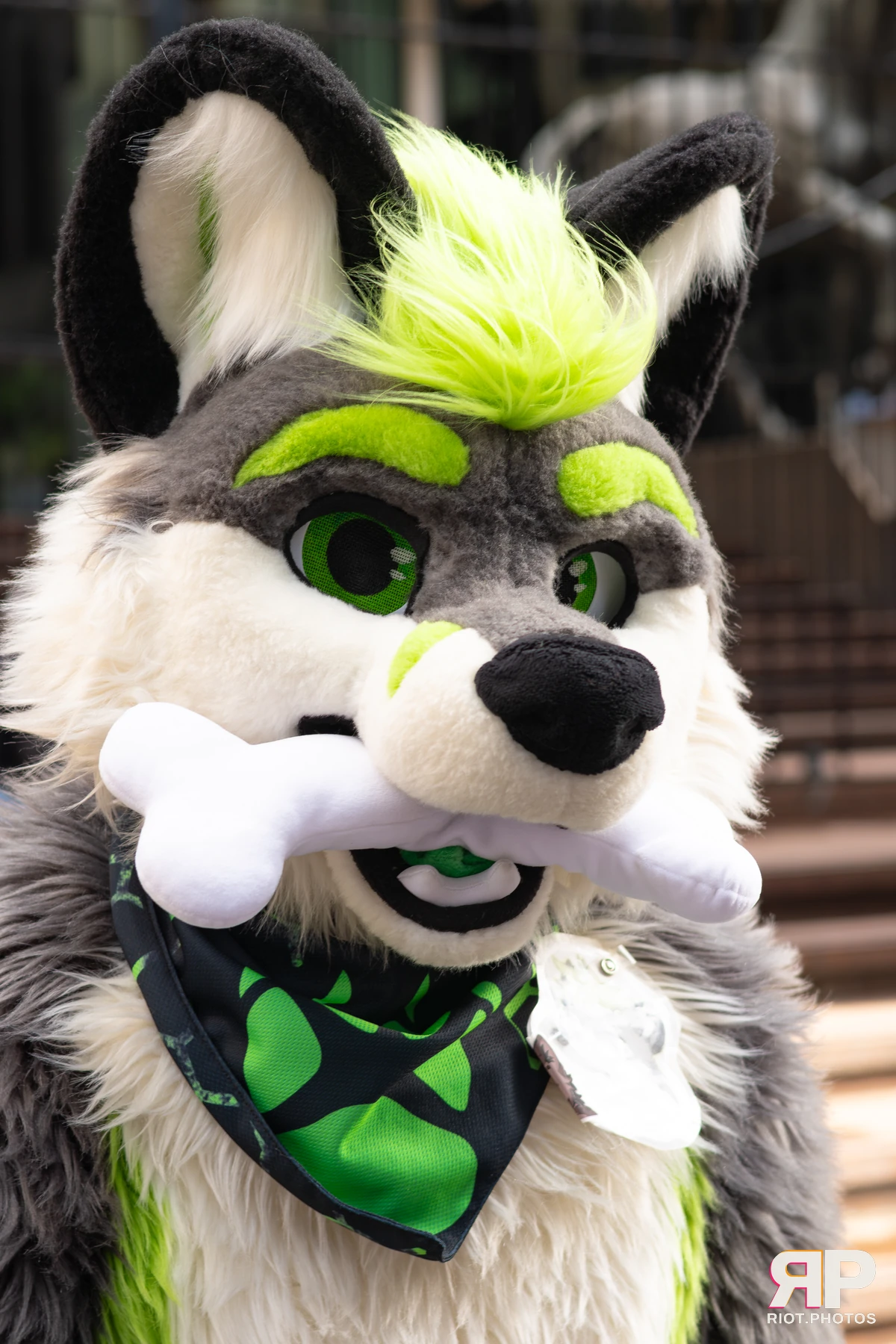 LondonFurs - January, 2026 — 31 Jan 2026, Fluffy Riot photography — photo 82