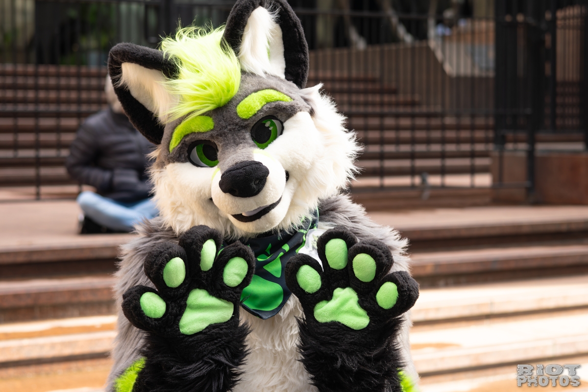 2026-01-31 LondonFurs-083.jpg