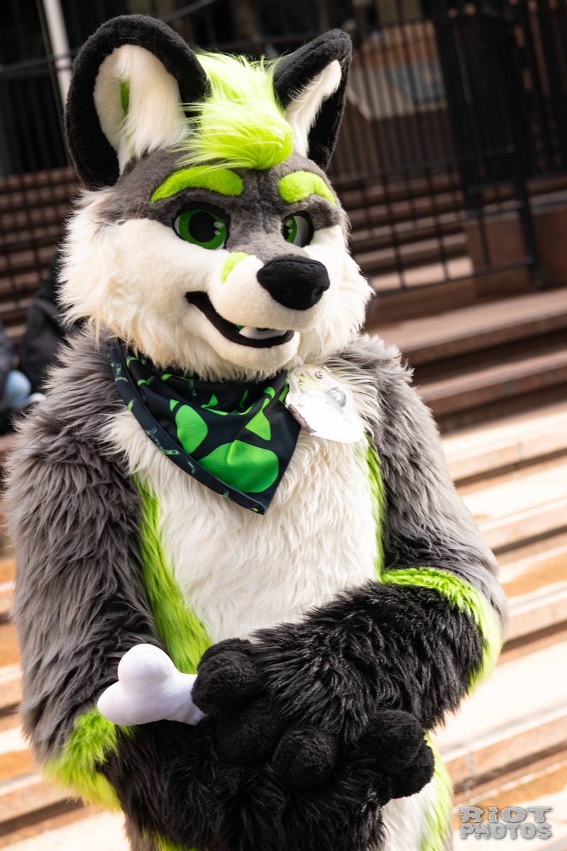 2026-01-31 LondonFurs-084.jpg