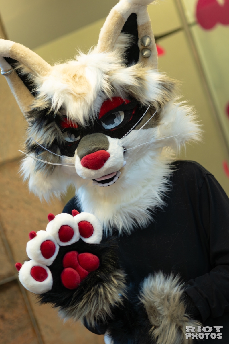 2026-01-31 LondonFurs-085.jpg