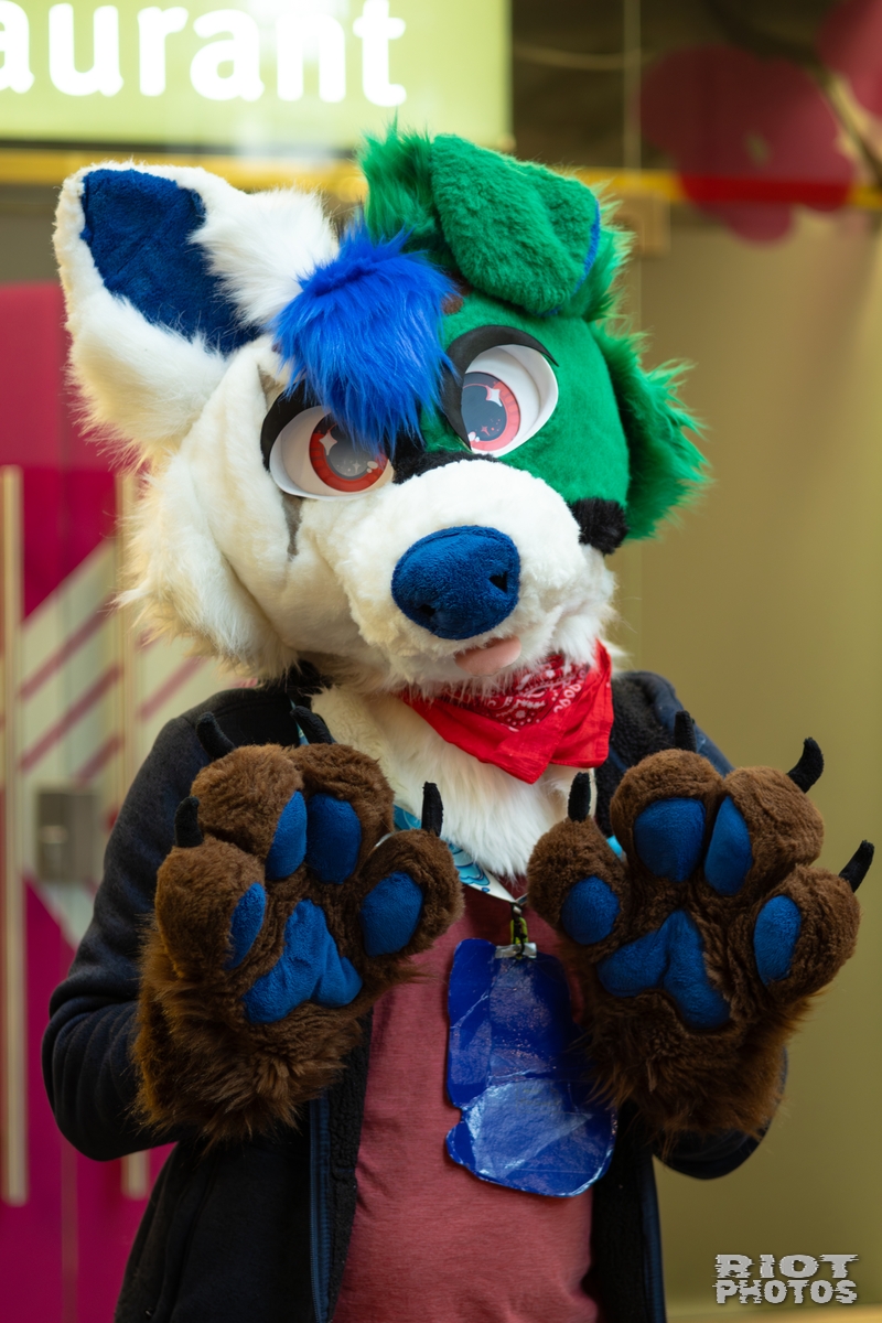 2026-01-31 LondonFurs-087.jpg