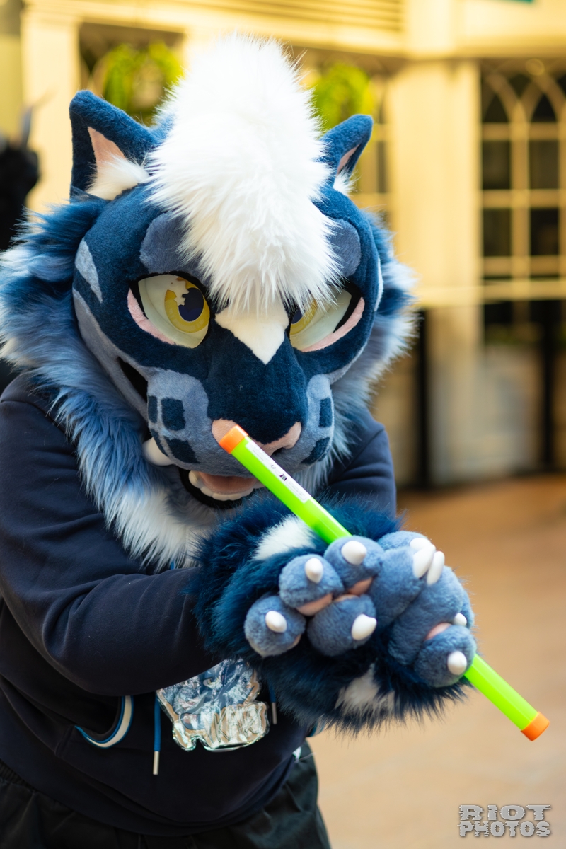 2026-01-31 LondonFurs-088.jpg