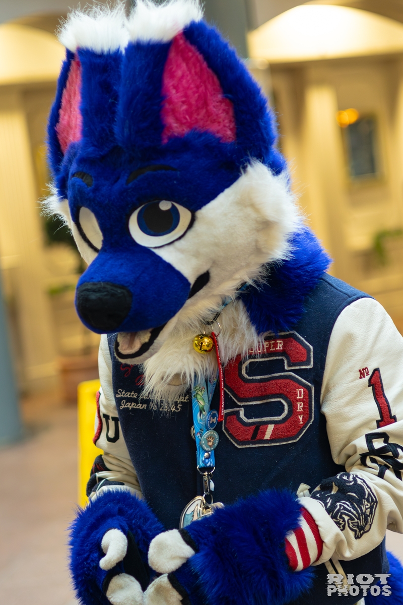 2026-01-31 LondonFurs-089.jpg