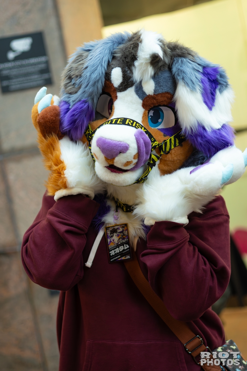 2026-01-31 LondonFurs-090.jpg