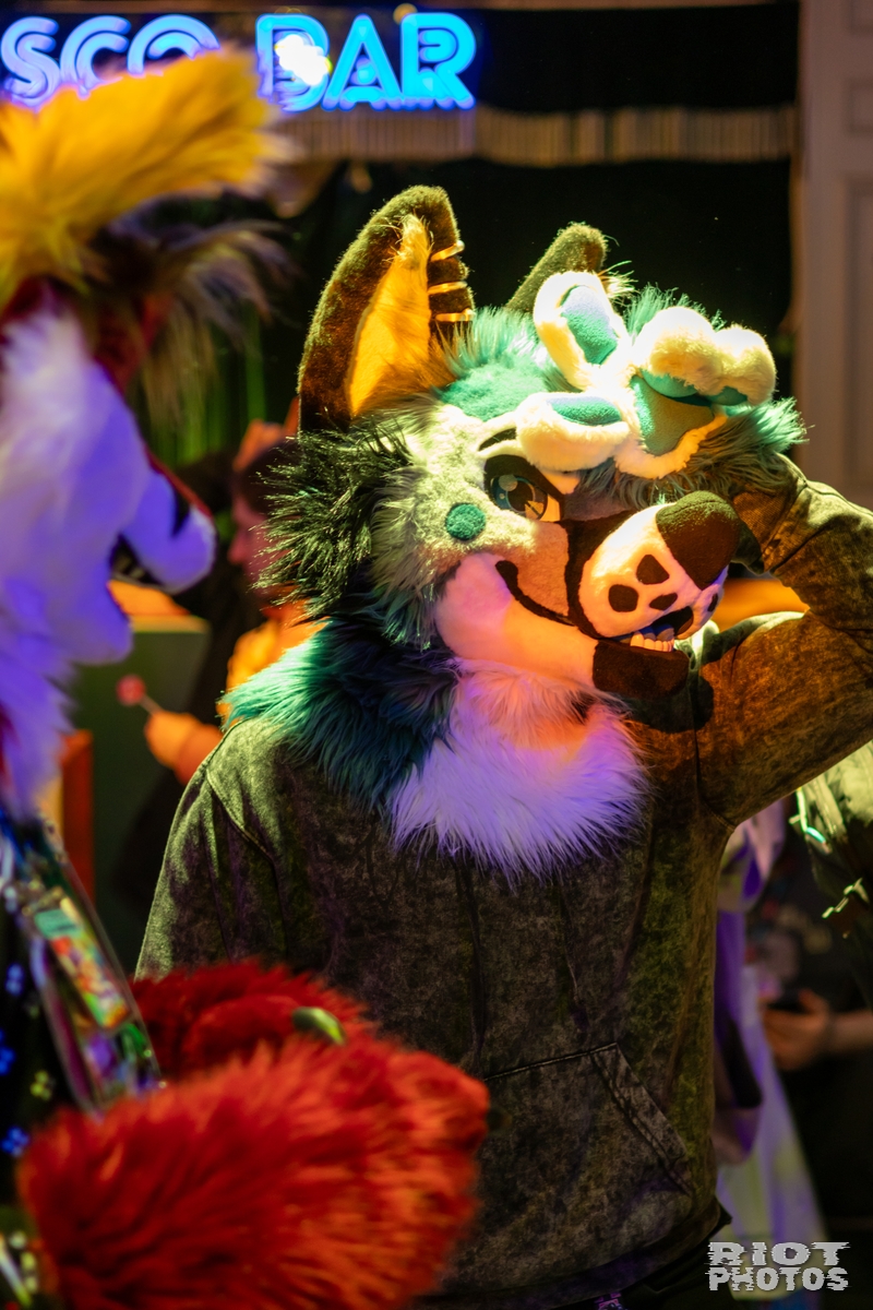 2024-12-15 MancFurs-202412-001.jpg