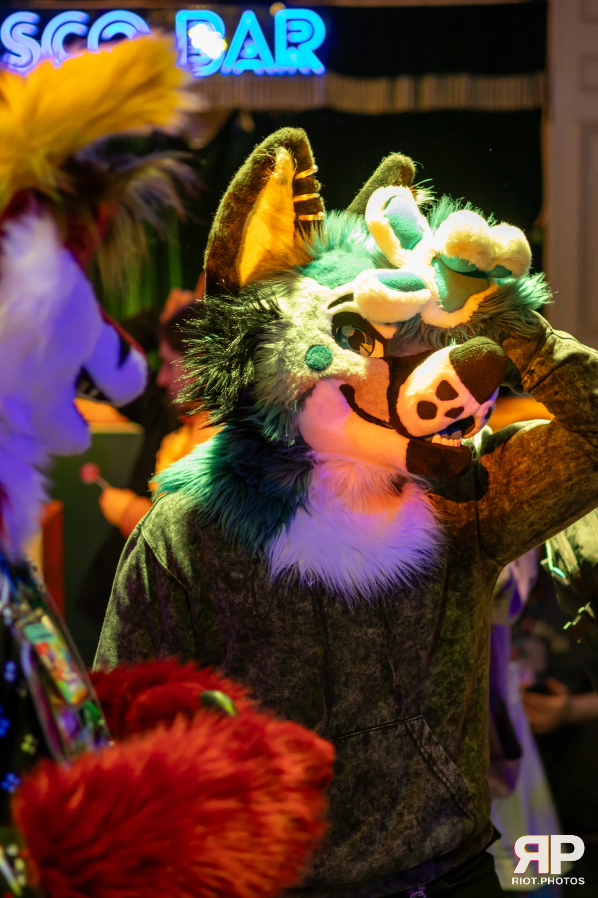 MancFurs - December, 2024 — 14 Dec 2024, Fluffy Riot photography — photo 1