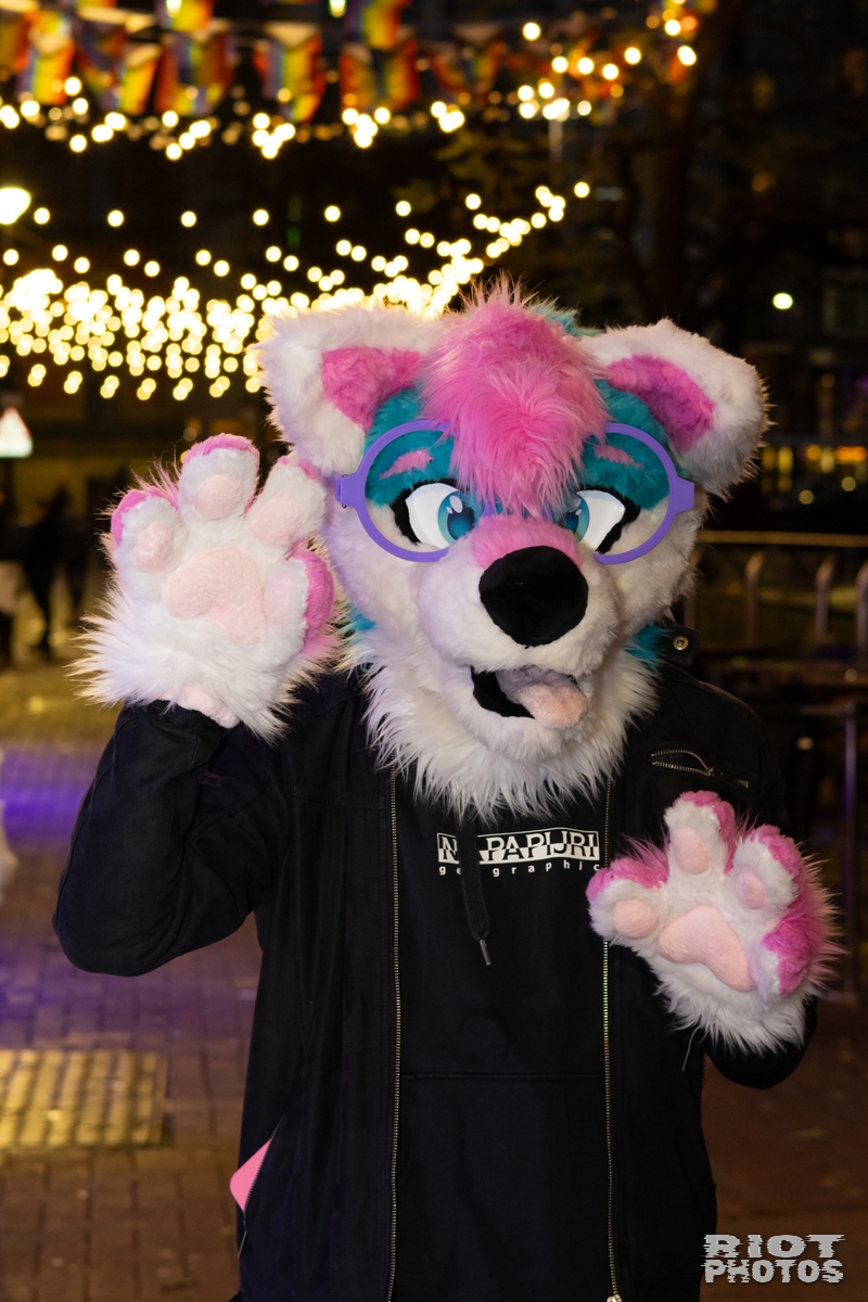 2024-12-15 MancFurs-202412-003.jpg