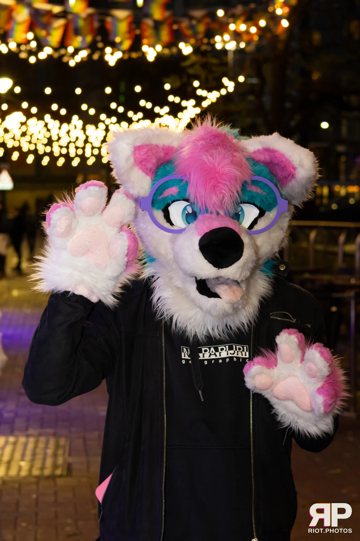 MancFurs - December, 2024 — 14 Dec 2024, Fluffy Riot photography — photo 3
