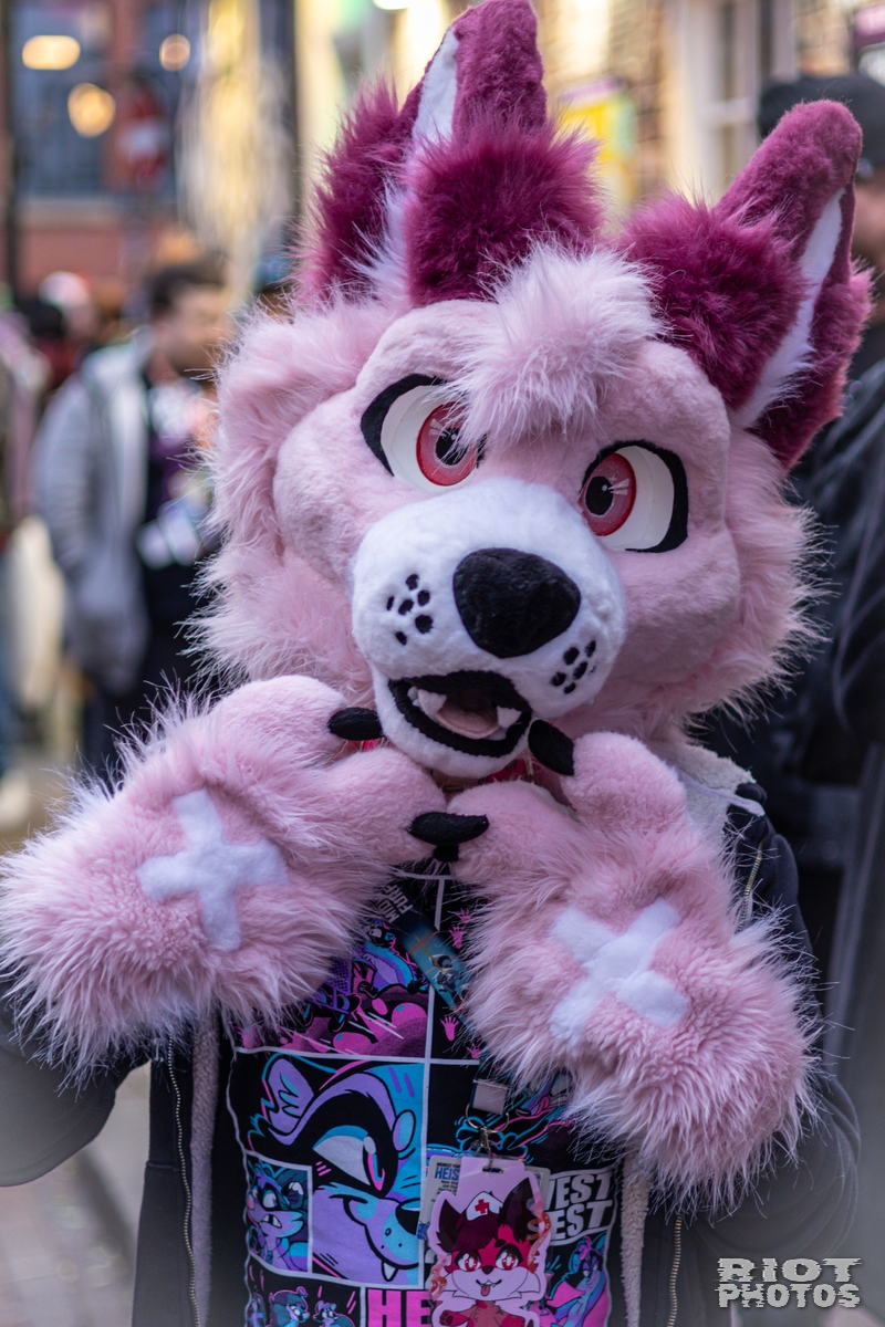 2024-12-15 MancFurs-202412-004.jpg