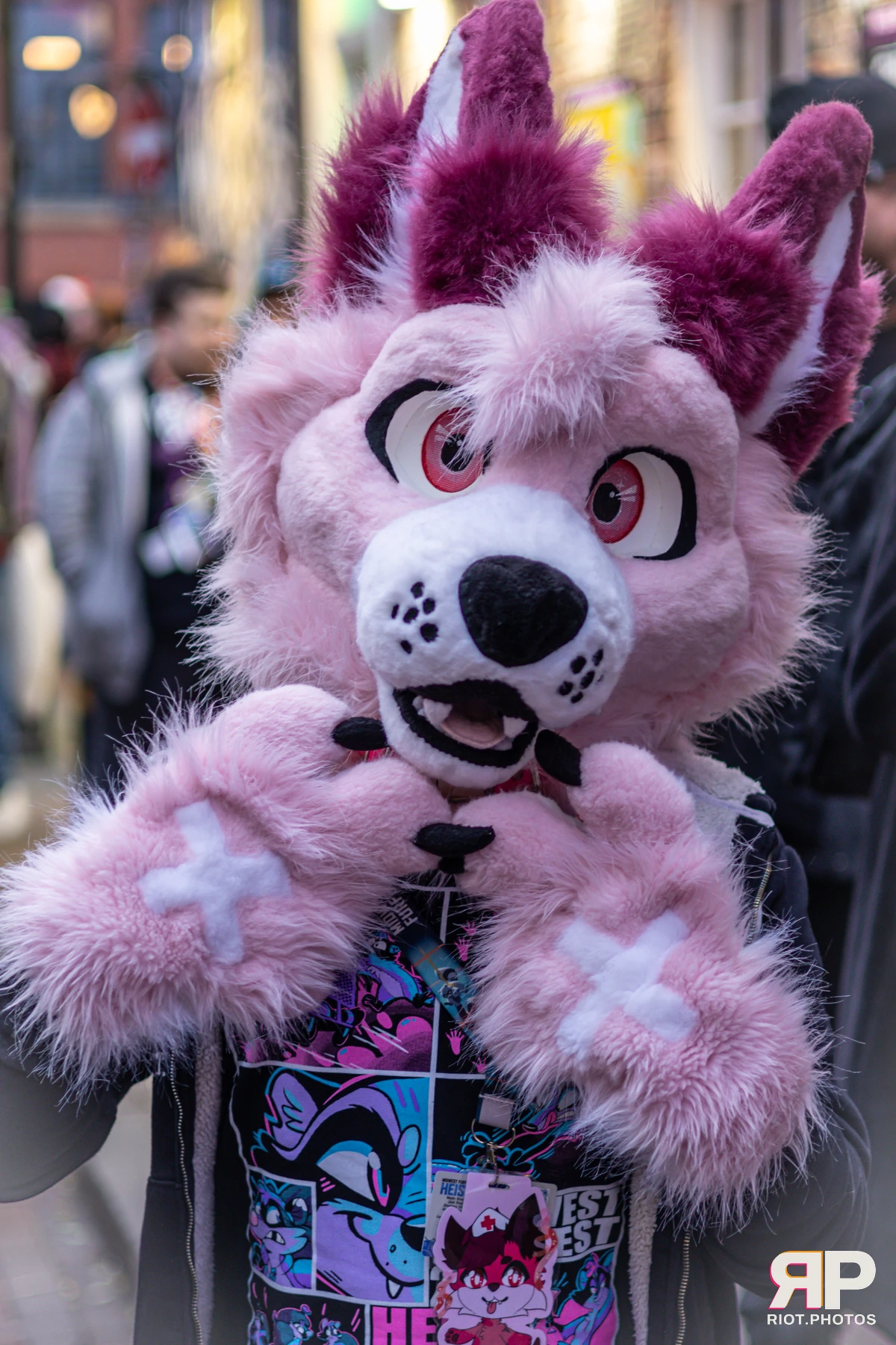 MancFurs - December, 2024 — 14 Dec 2024, Fluffy Riot photography — photo 4