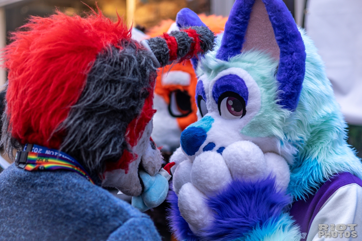 2024-12-15 MancFurs-202412-005.jpg