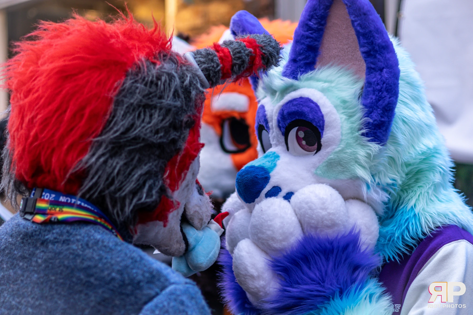 MancFurs - December, 2024 — 14 Dec 2024, Fluffy Riot photography — photo 5