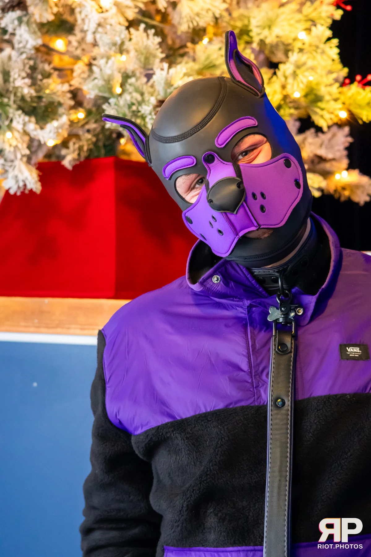 MancFurs - December, 2024 — 14 Dec 2024, Fluffy Riot photography — photo 6