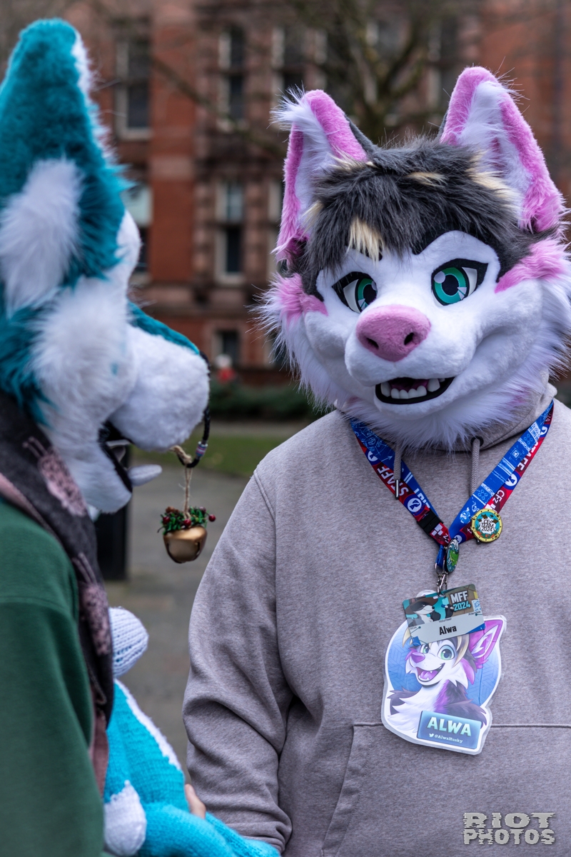 2024-12-15 MancFurs-202412-008.jpg