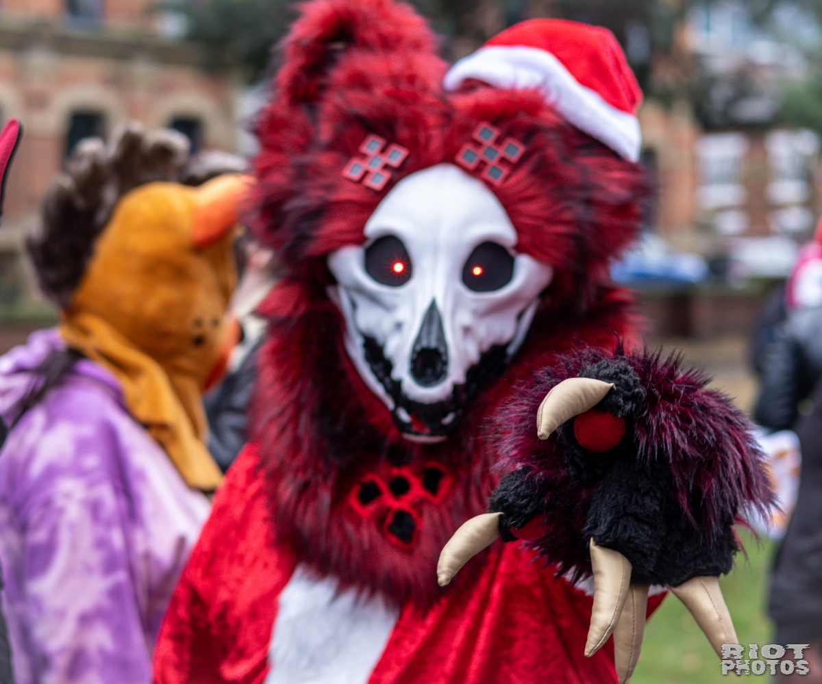 2024-12-15 MancFurs-202412-009.jpg