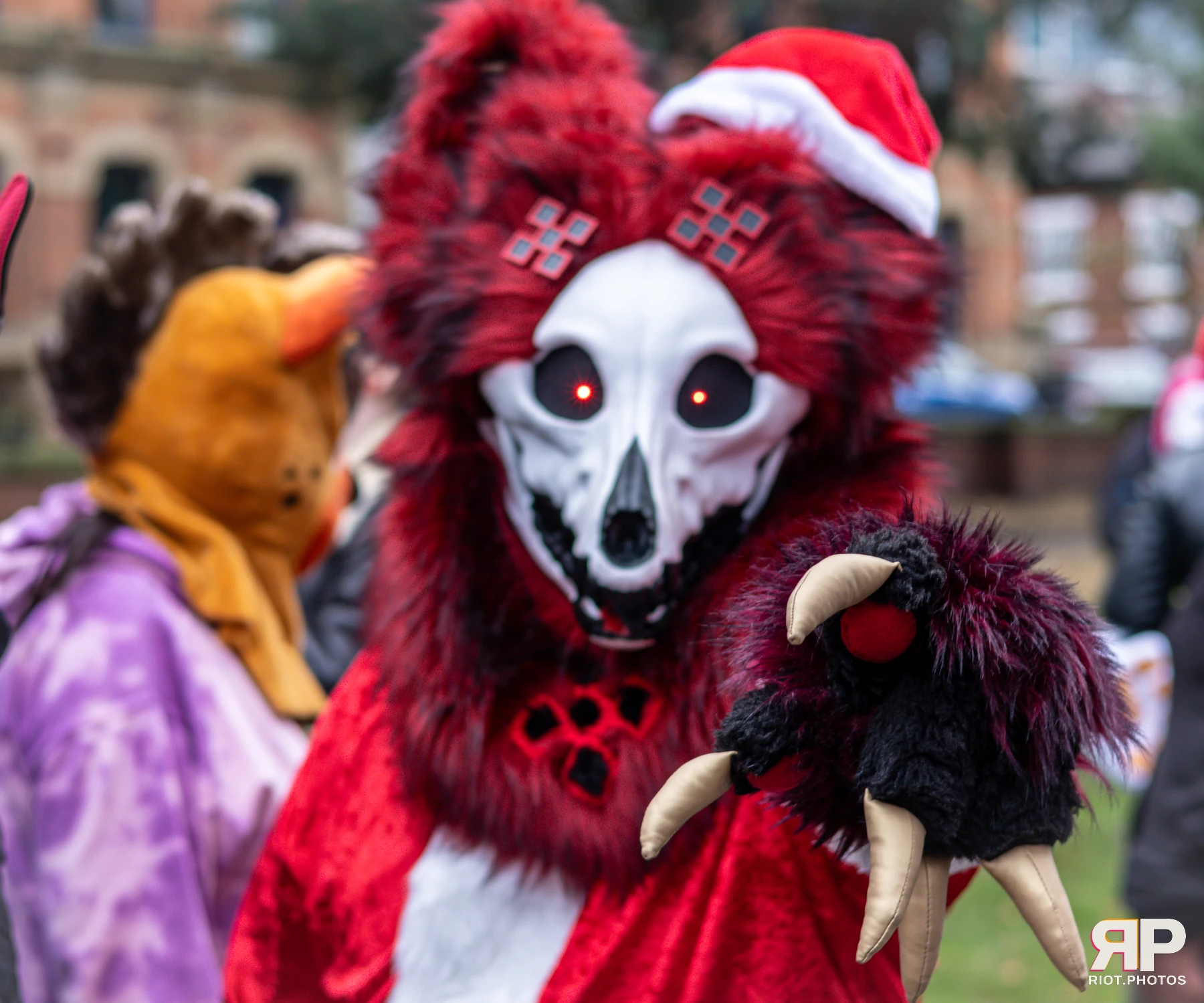MancFurs - December, 2024 — 14 Dec 2024, Fluffy Riot photography — photo 9
