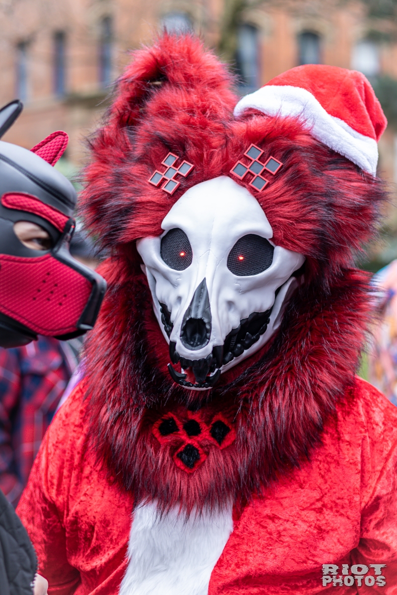 2024-12-15 MancFurs-202412-010.jpg