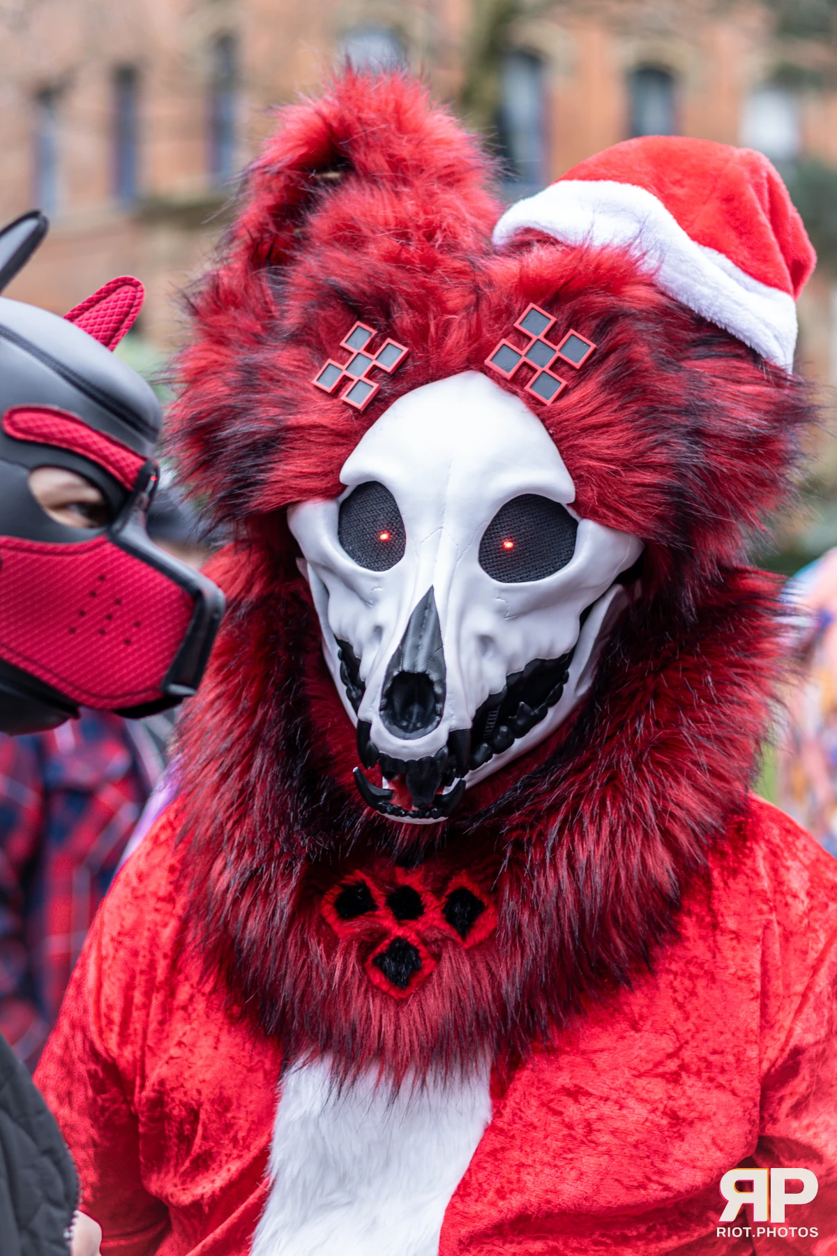 MancFurs - December, 2024 — 14 Dec 2024, Fluffy Riot photography — photo 10