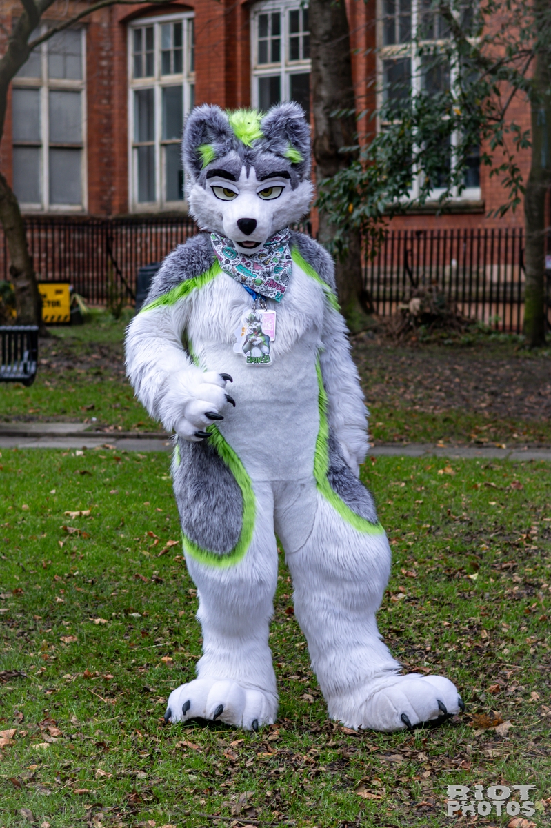 2024-12-15 MancFurs-202412-011.jpg