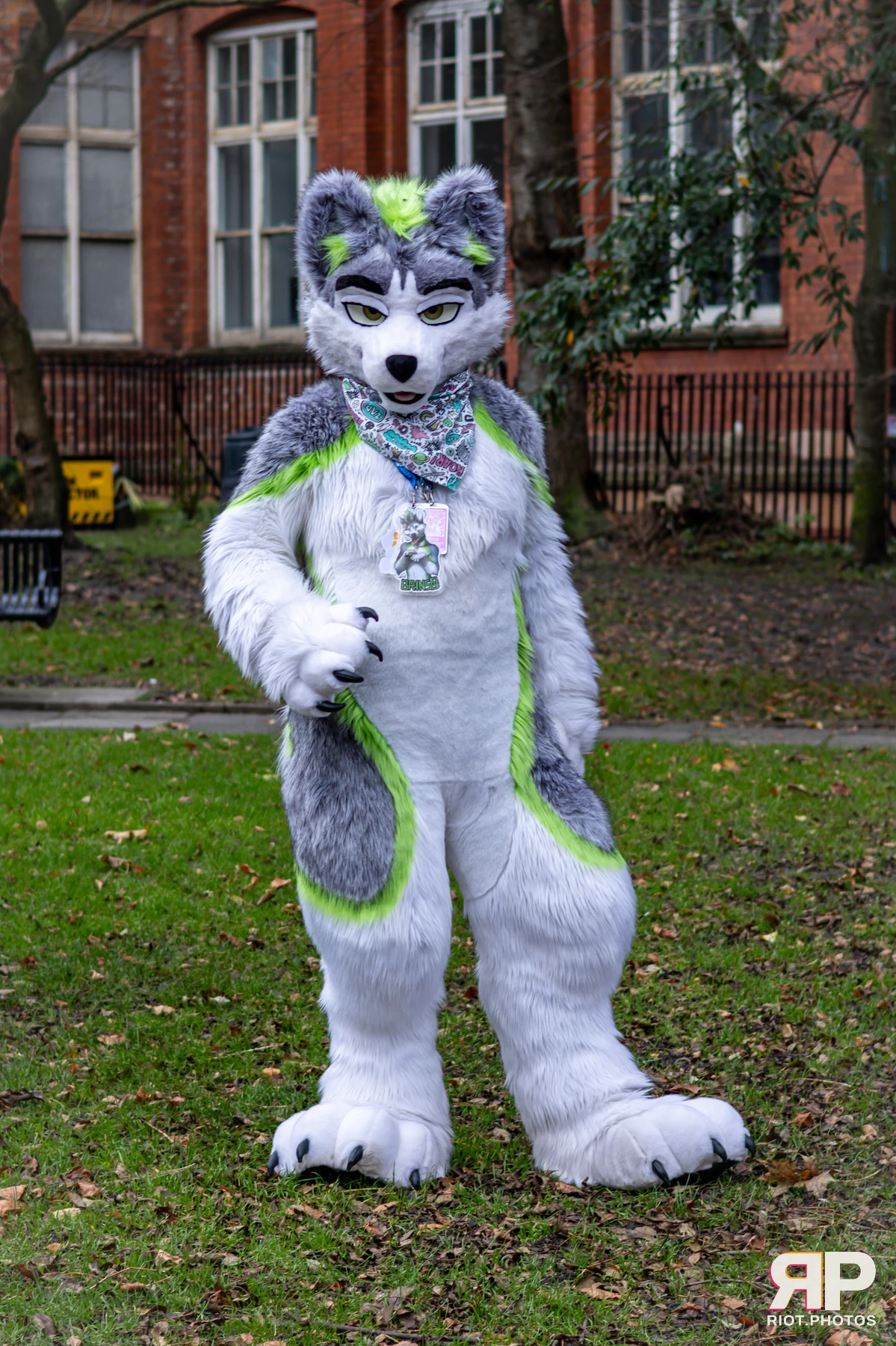 MancFurs - December, 2024 — 14 Dec 2024, Fluffy Riot photography — photo 11