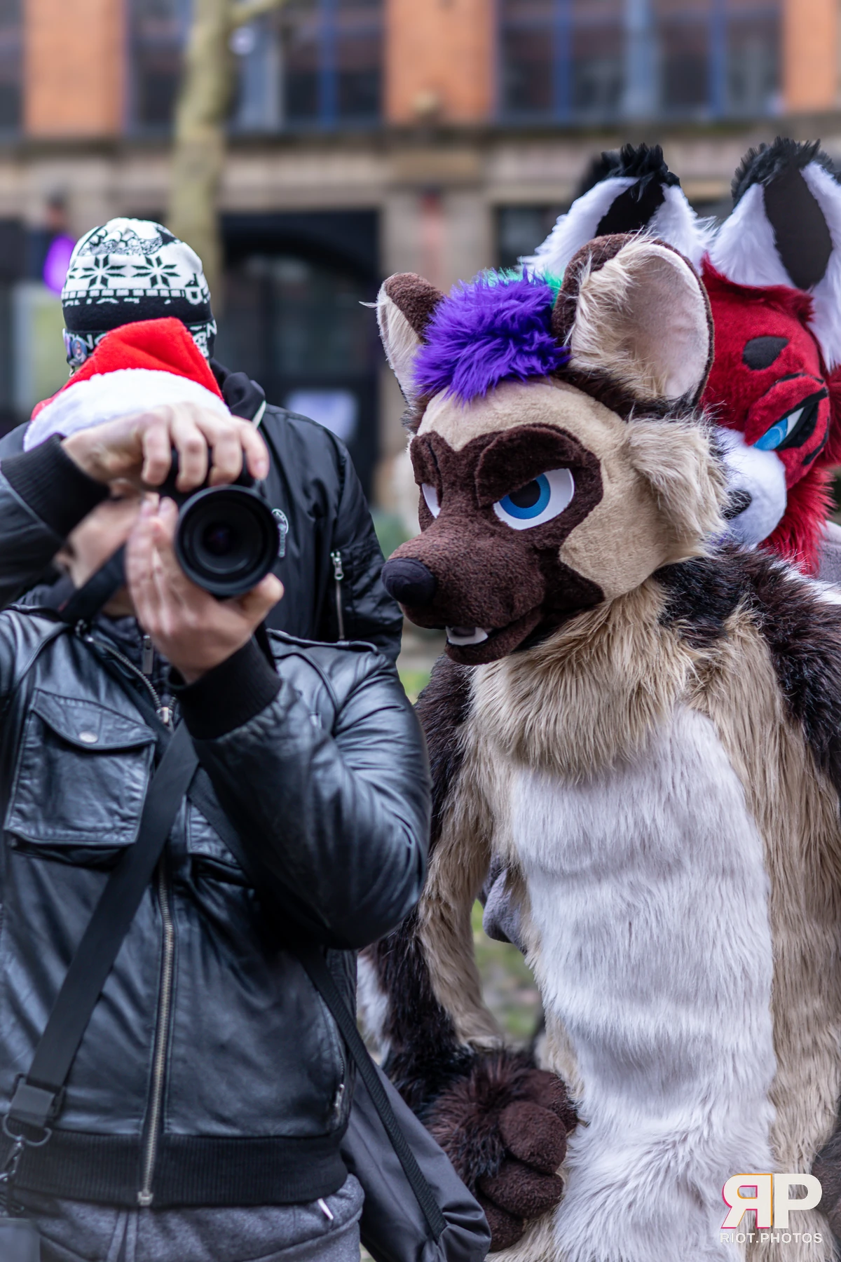 MancFurs - December, 2024 — 14 Dec 2024, Fluffy Riot photography — photo 12