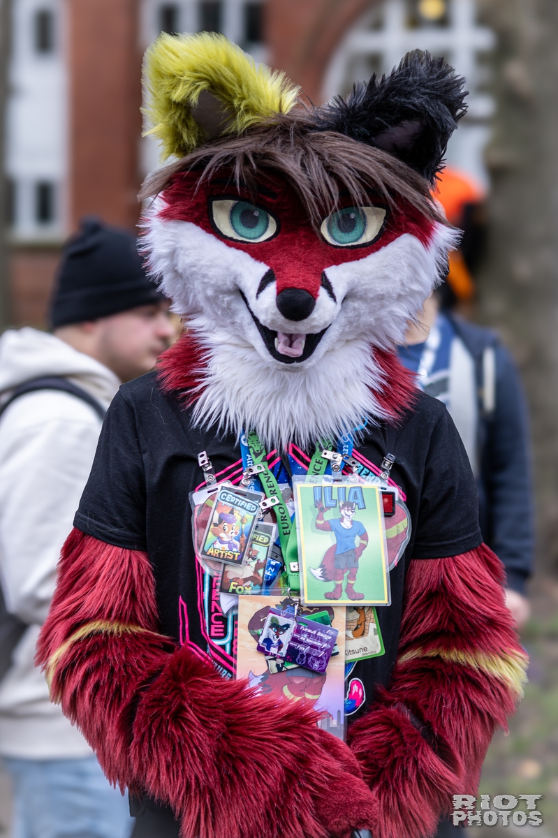 2024-12-15 MancFurs-202412-014.jpg
