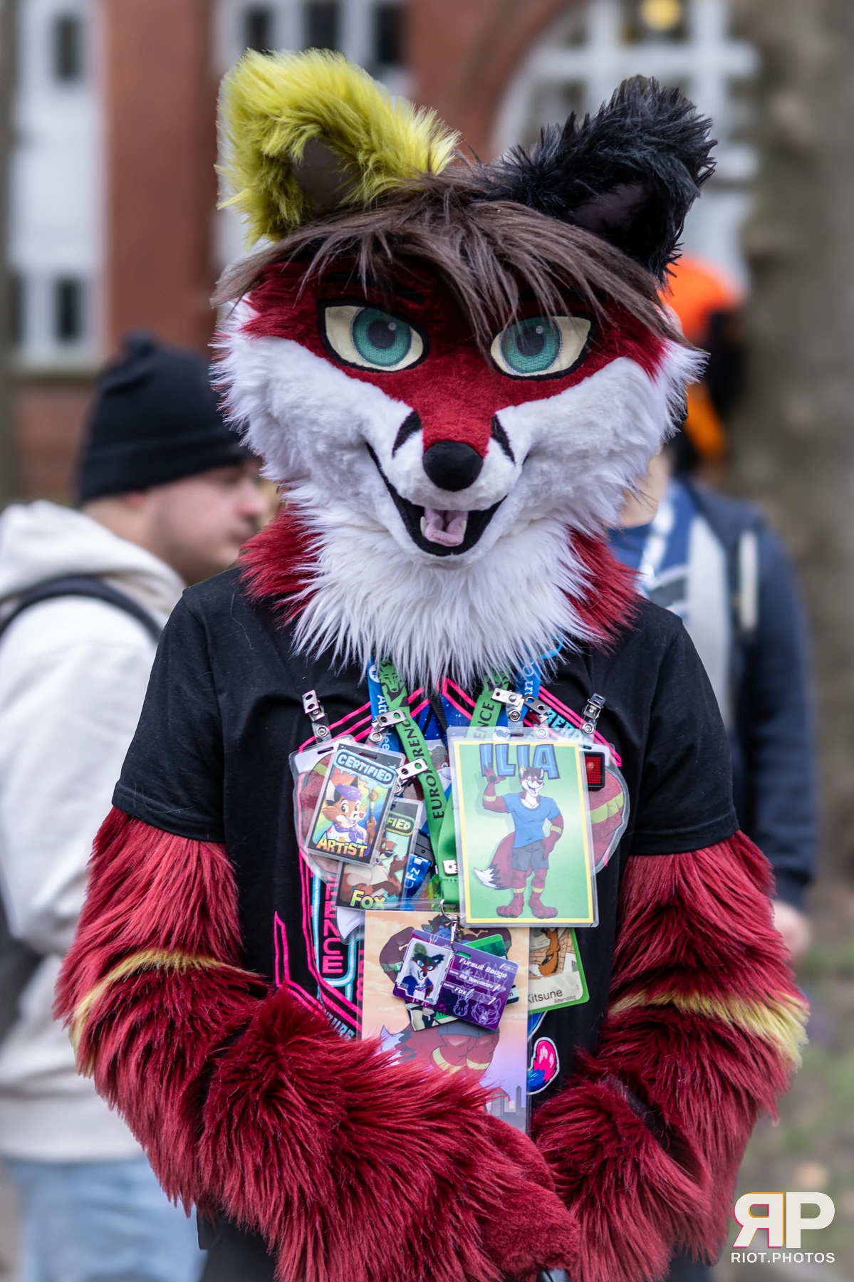 MancFurs - December, 2024 — 14 Dec 2024, Fluffy Riot photography — photo 14