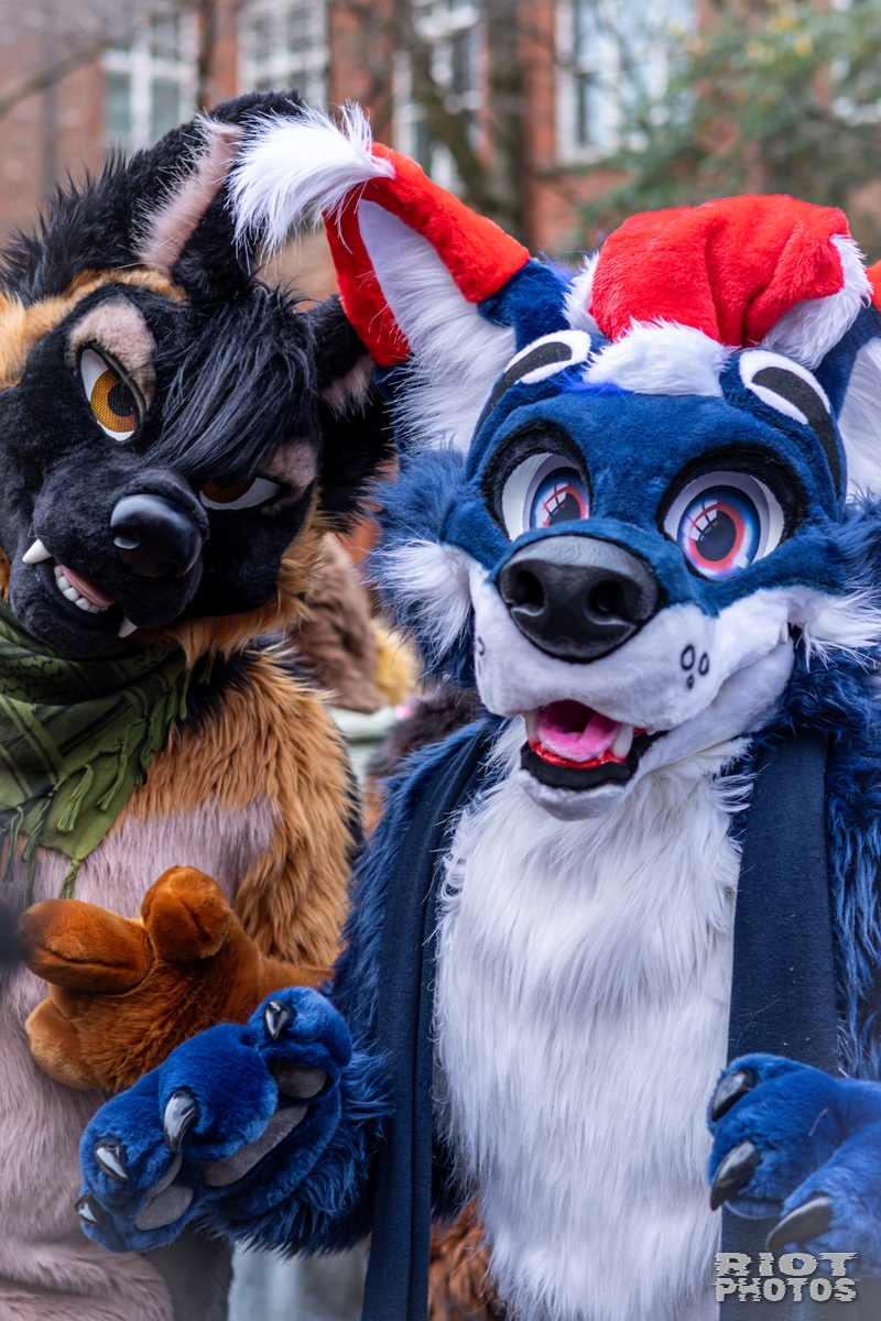 2024-12-15 MancFurs-202412-015.jpg