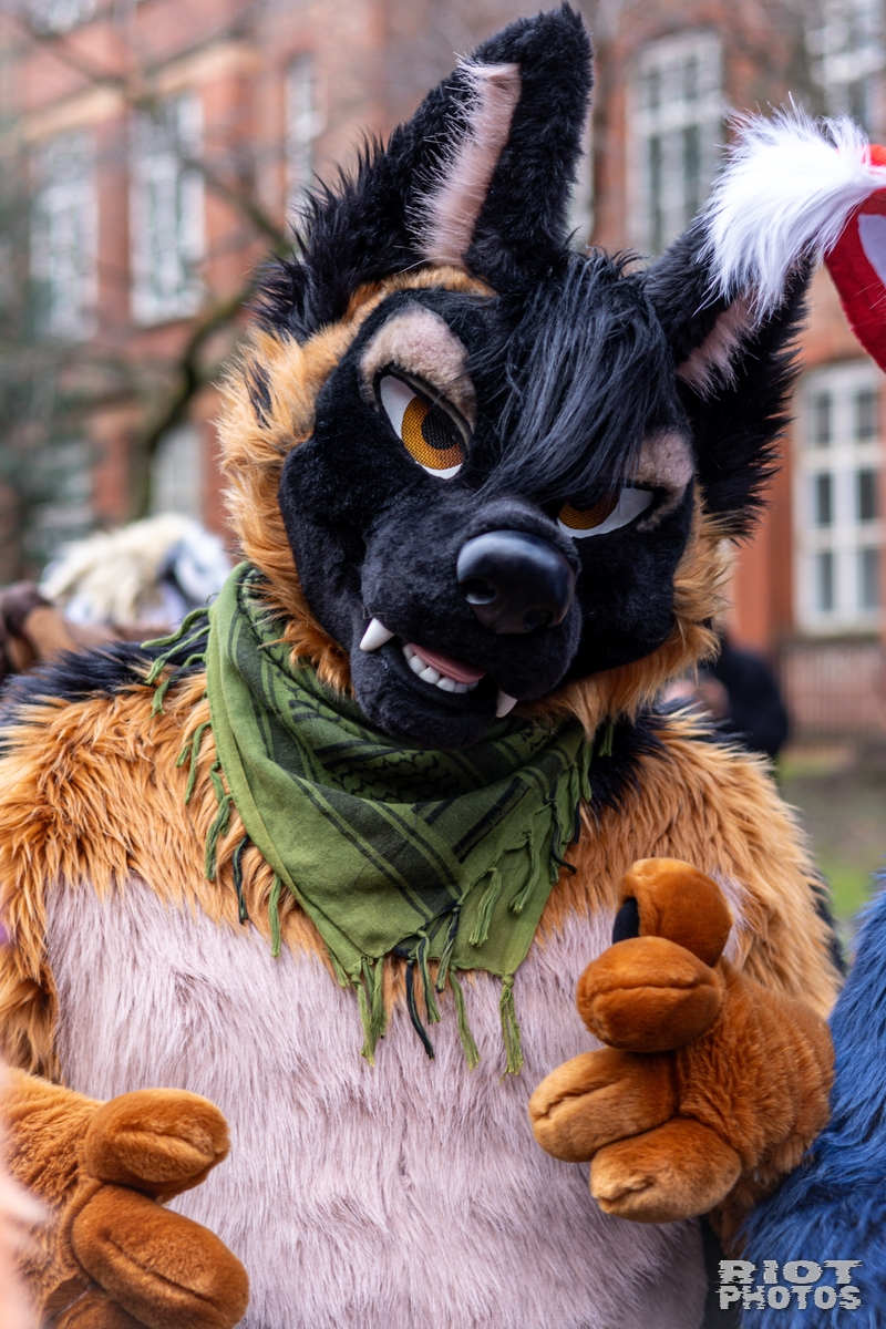 2024-12-15 MancFurs-202412-016.jpg