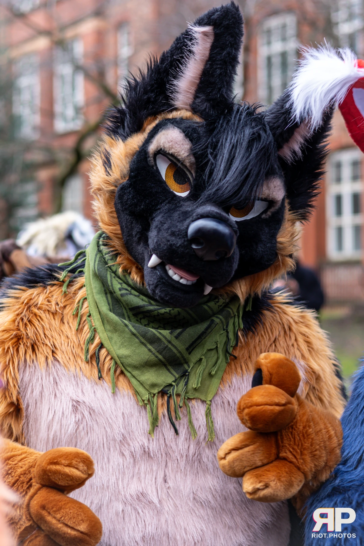 MancFurs - December, 2024 — 14 Dec 2024, Fluffy Riot photography — photo 16