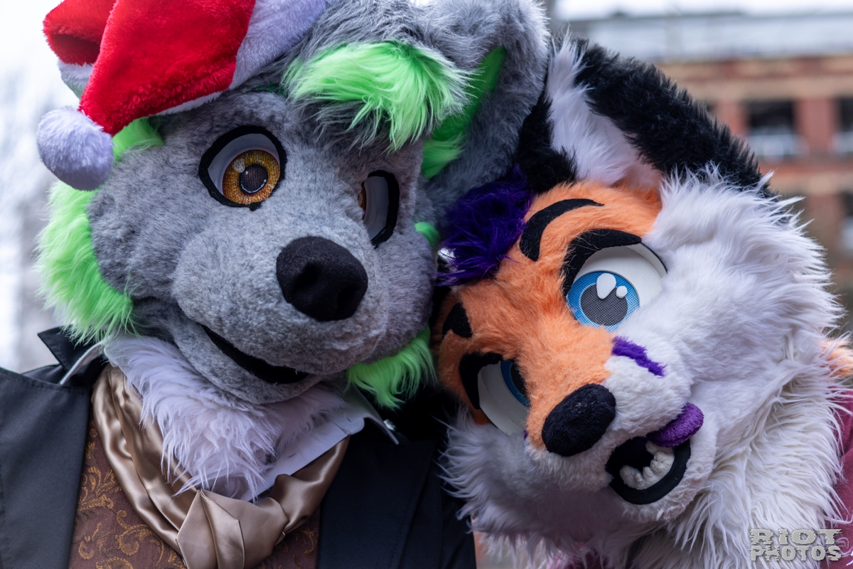 2024-12-15 MancFurs-202412-017.jpg